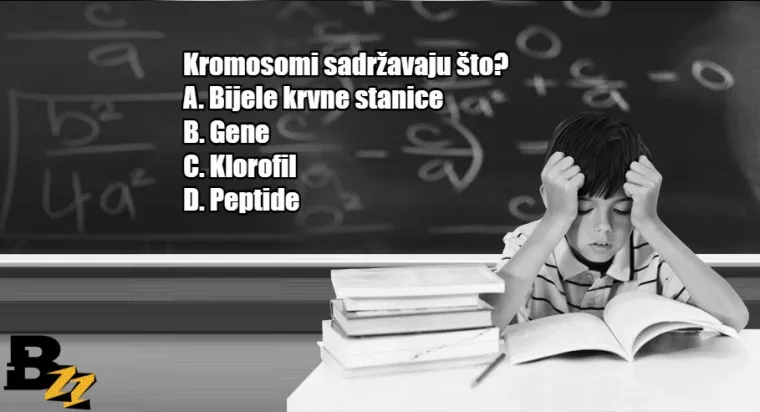 Koliko se dobro sjećate? KVIZ od 15 pitanja iz gradiva osnovne i srednje &scaron;kole