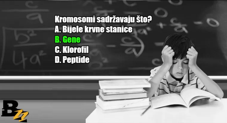 Koliko se dobro sjećate? KVIZ od 15 pitanja iz gradiva osnovne i srednje &scaron;kole