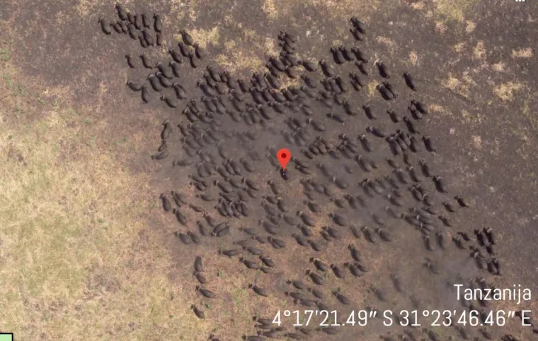 Tragovi izgubljenih civilizacija: 20 najčudnijih stvari koje su ljudi prona&scaron;li koristeći Google Earth