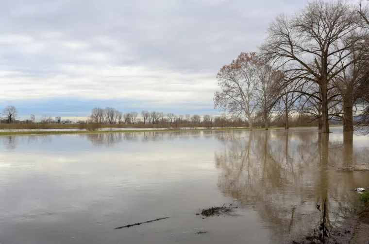 Nabujala Sava izlila se iz korita, prijeti nam i vodeni val iz Slovenije!