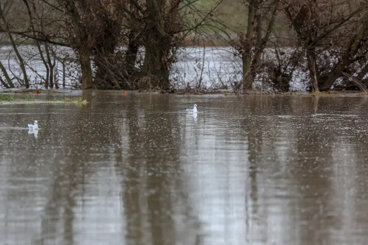 Nabujala Sava izlila se iz korita, prijeti nam i vodeni val iz Slovenije!