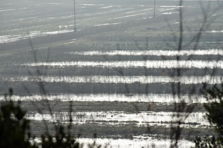 Veliki dijelovi poljoprivrednih površina raške doline pod vodom, na jednom dijelu puknuo nasip!