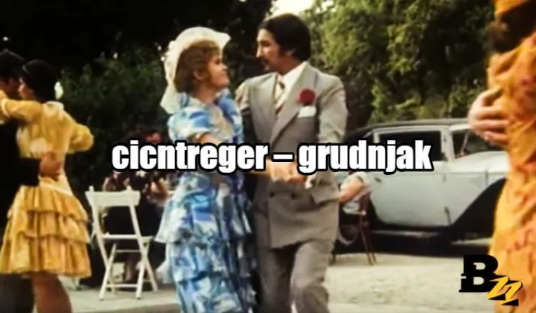 Auzvinkl, bokci, cakum-pakum, cicntreger: Enciklopedija purgerskog rječnika, svezak 1 (A-C)