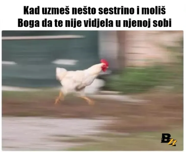 15 mema koje će shvatiti samo oni koji se vječno bore sa svojim sestrama i braćom