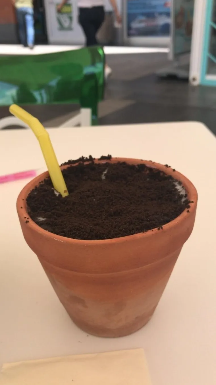 HIPSTERIMA NI&Scaron;TA NIJE SVETO: Kad vidite čime su zamijenili krigle i &scaron;alice, odmah vam dođe da trgnete jednu kratku...