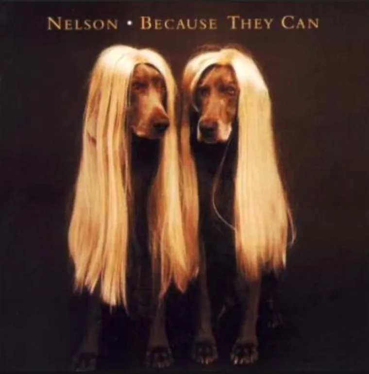 20 covera albuma koji će vas natjerati da kažete 'Ko vam je ovo radijo majketi?'