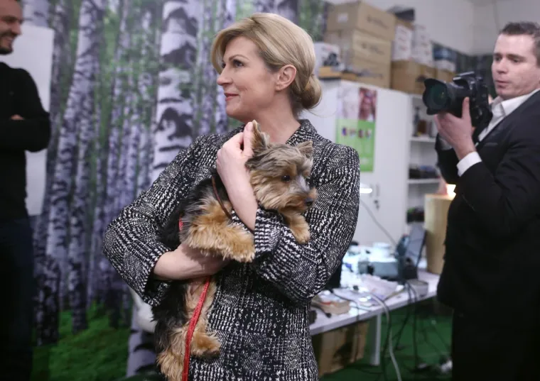 No psić s Velesajma  nije jedini razlog zbog kojeg bi prva kujica mogla biti ljubomorna.