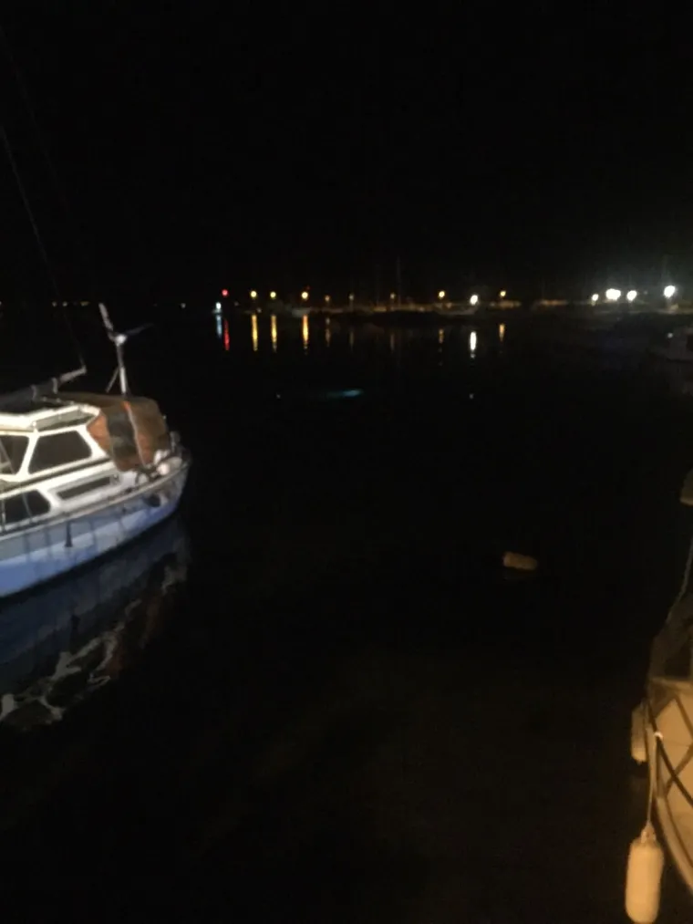 Luksuzni Mercedes noćas upao u more u Zadru: Vozač se uspio izvući i doplivati do obale