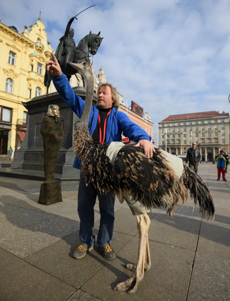 Jo&scaron; samo jedan običan dan u Zagrebu: Centrom grada &scaron;etao svog ljubimca - noja Francelja