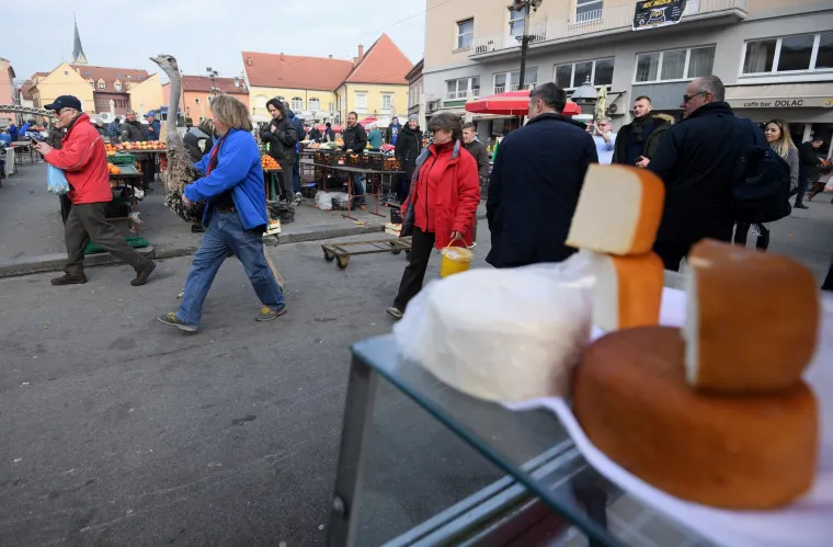Jo&scaron; samo jedan običan dan u Zagrebu: Centrom grada &scaron;etao svog ljubimca - noja Francelja