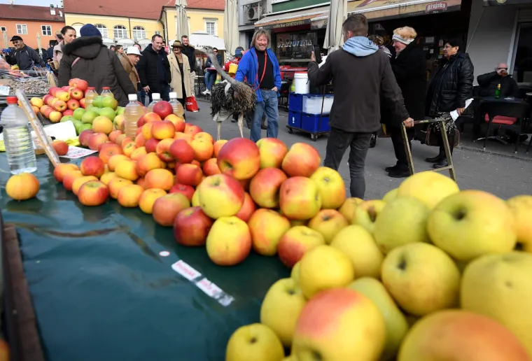 Jo&scaron; samo jedan običan dan u Zagrebu: Centrom grada &scaron;etao svog ljubimca - noja Francelja