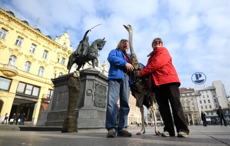 Jo&scaron; samo jedan običan dan u Zagrebu: Centrom grada &scaron;etao svog ljubimca - noja Francelja