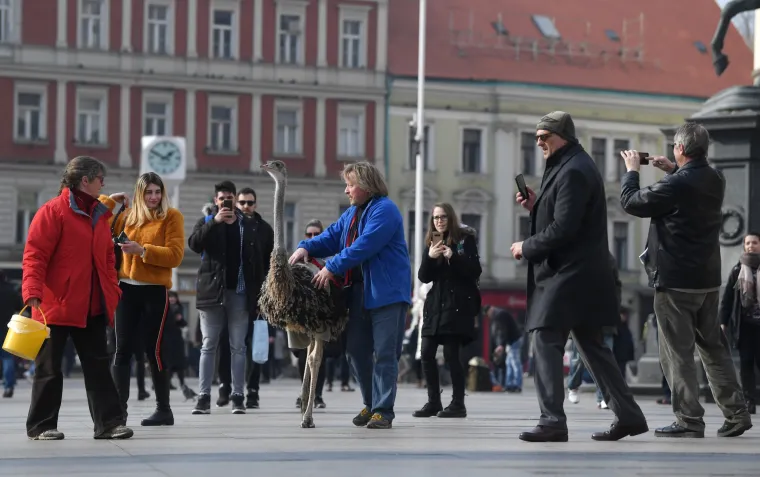 Noj Francelj pro&scaron;etao zagrebačkom &scaron;picom jer njegovom gazdi treba novac za prehranu svih životinja koje imaju