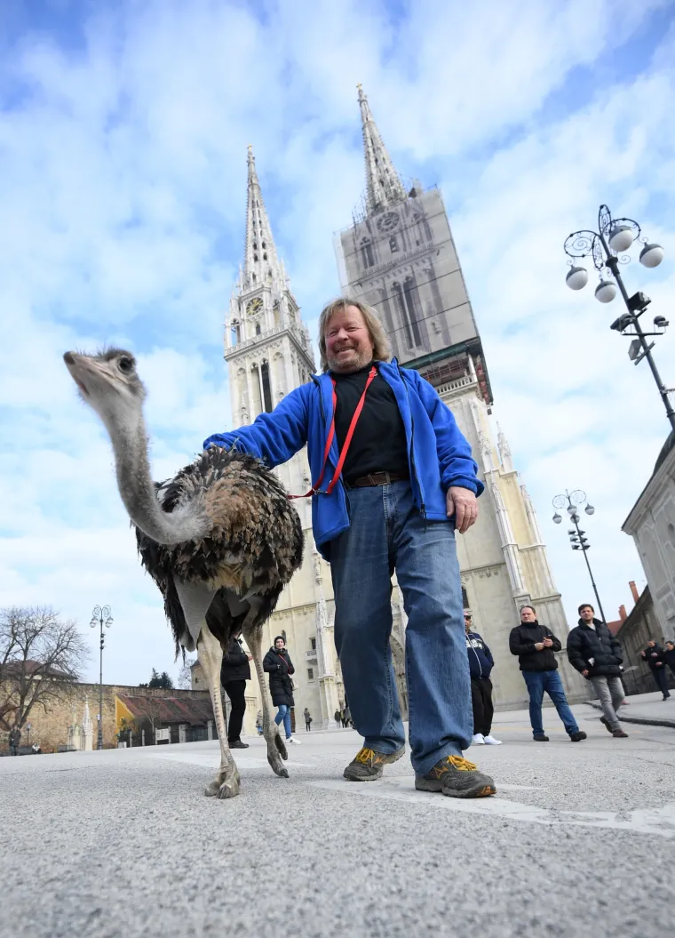 Noj Francelj pro&scaron;etao zagrebačkom &scaron;picom jer njegovom gazdi treba novac za prehranu svih životinja koje imaju