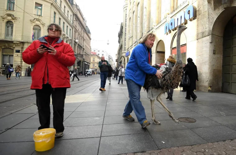 Zagrebačkom špicom danas je prošetao i noj Francelj