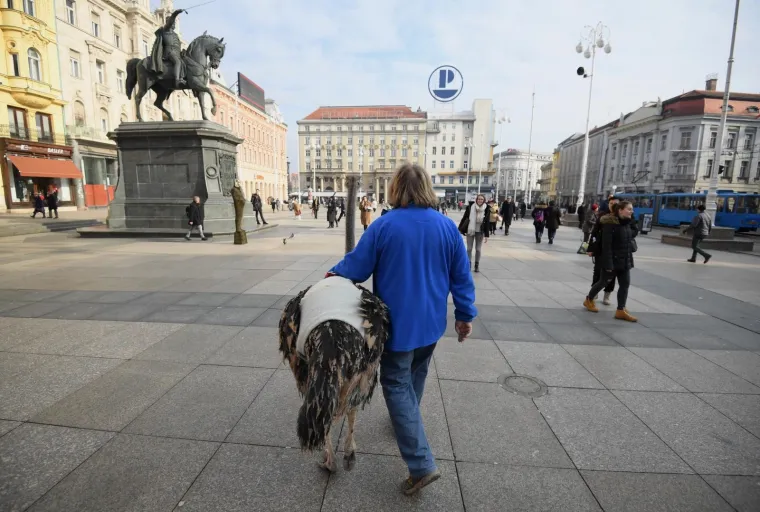 Zagrebačkom &scaron;picom danas je pro&scaron;etao i noj Francelj