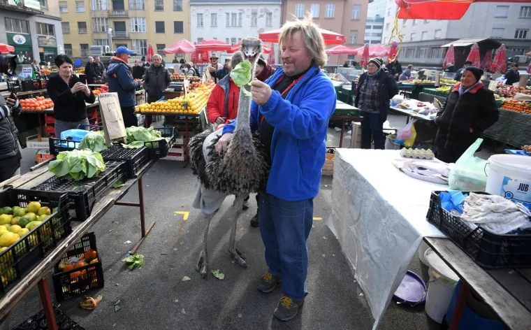 Zagrebačkom &scaron;picom danas je pro&scaron;etao i noj Francelj
