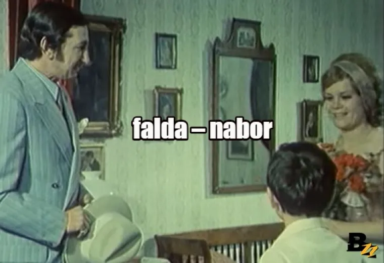 Damfati, đorati, hoh&scaron;tapler: Enciklopedija purgerskog rječnika, svezak 2 (Č-H)