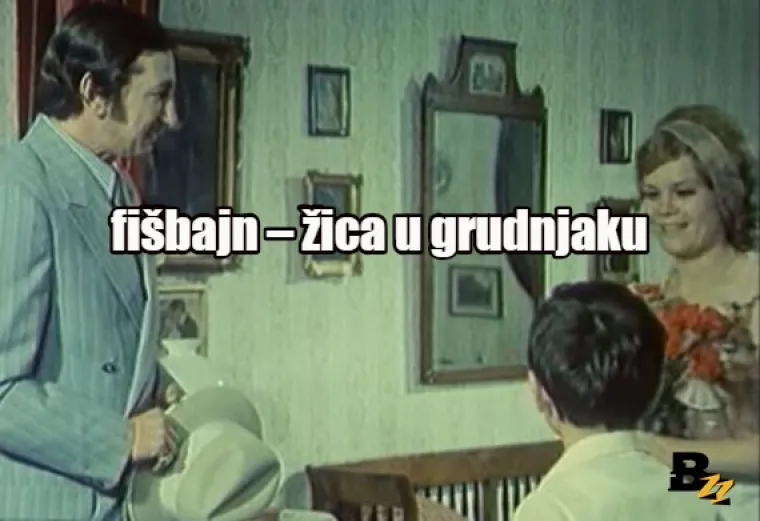 Damfati, đorati, hoh&scaron;tapler: Enciklopedija purgerskog rječnika, svezak 2 (Č-H)