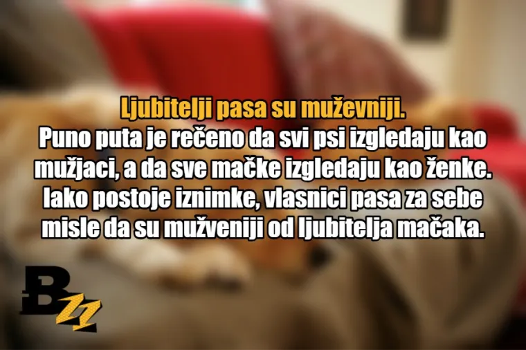 15 glavnih razlika između ljubitelja mačaka i ljubitelja pasa