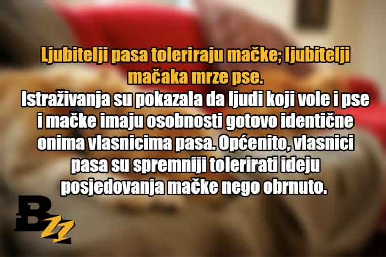 15 glavnih razlika između ljubitelja mačaka i ljubitelja pasa