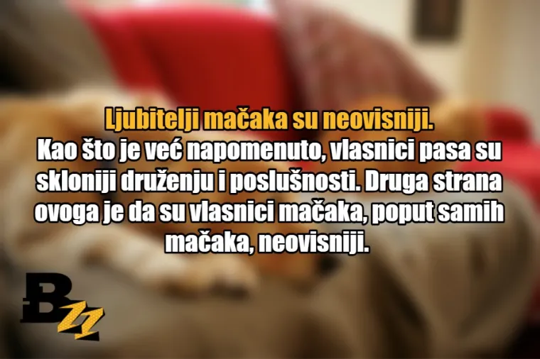 15 glavnih razlika između ljubitelja mačaka i ljubitelja pasa