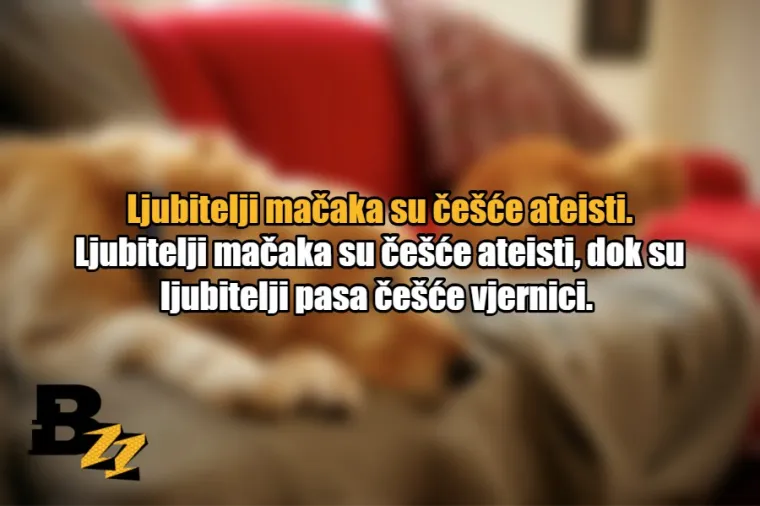 15 glavnih razlika između ljubitelja mačaka i ljubitelja pasa