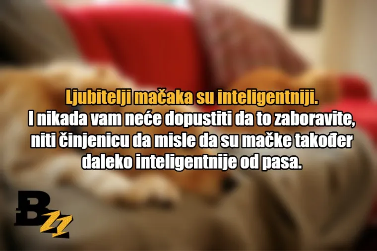 15 glavnih razlika između ljubitelja mačaka i ljubitelja pasa