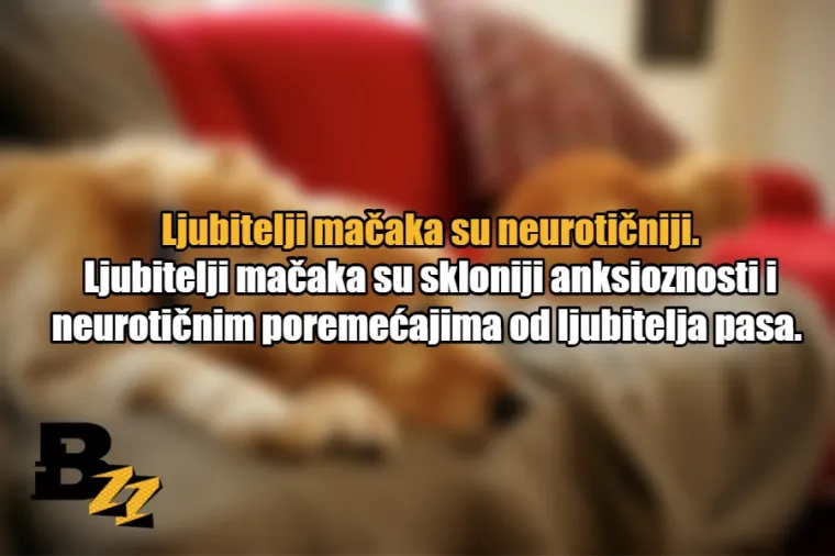 15 glavnih razlika između ljubitelja mačaka i ljubitelja pasa