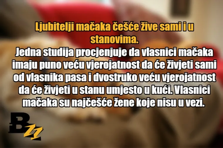 15 glavnih razlika između ljubitelja mačaka i ljubitelja pasa