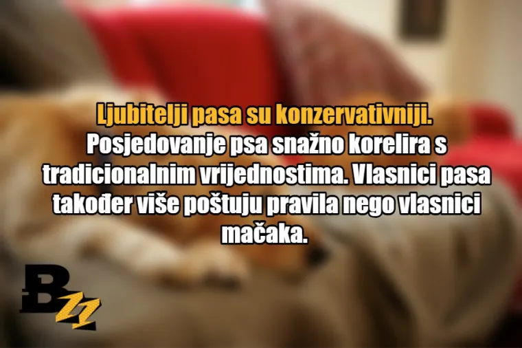 15 glavnih razlika između ljubitelja mačaka i ljubitelja pasa