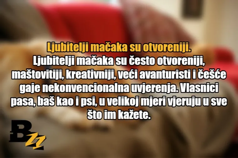 15 glavnih razlika između ljubitelja mačaka i ljubitelja pasa