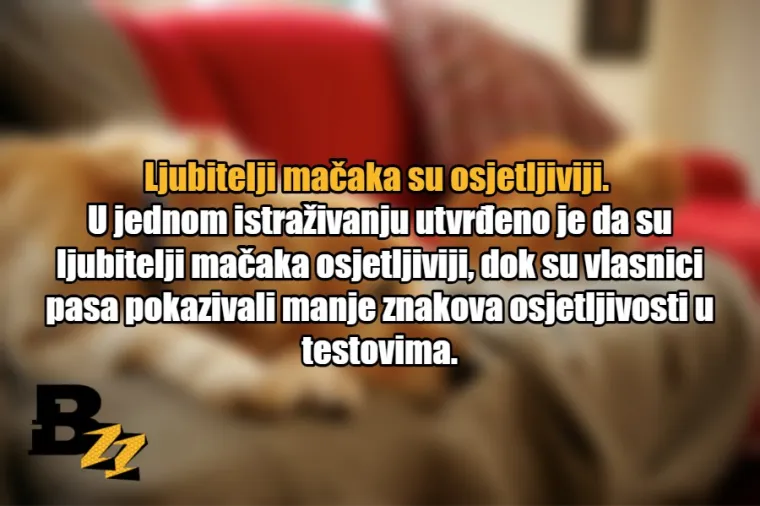 15 glavnih razlika između ljubitelja mačaka i ljubitelja pasa