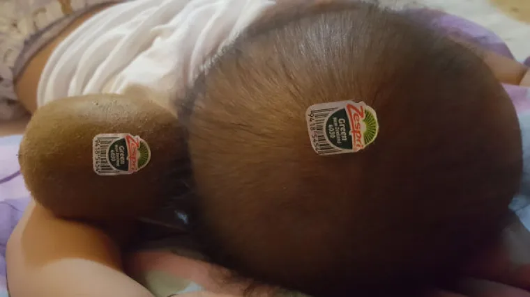 30 urnebesnih slika koje dokazuju da očeve ne smijete ostavljati same s djecom