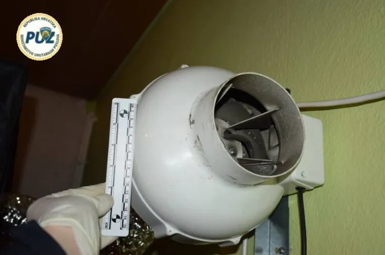 Improvizirani laboratorij u ormaru: U Trnavi pronađeno vi&scaron;e od 200 stabljika konoplje i marihuana