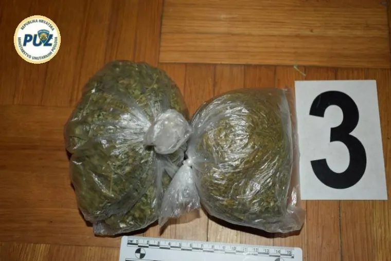 Improvizirani laboratorij u ormaru: U Trnavi pronađeno vi&scaron;e od 200 stabljika konoplje i marihuana