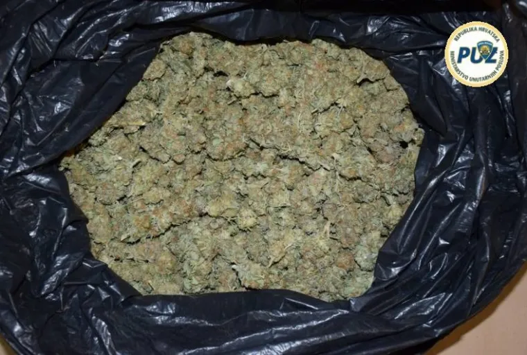 Improvizirani laboratorij u ormaru: U Trnavi pronađeno vi&scaron;e od 200 stabljika konoplje i marihuana