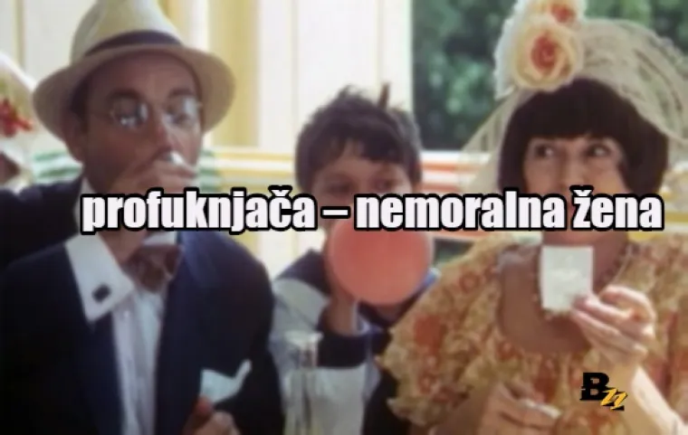 Pofuknjača, mi&scaron;čafl, pezdec: Enciklopedija purgerskog rječnika, svezak 3 (I-P)