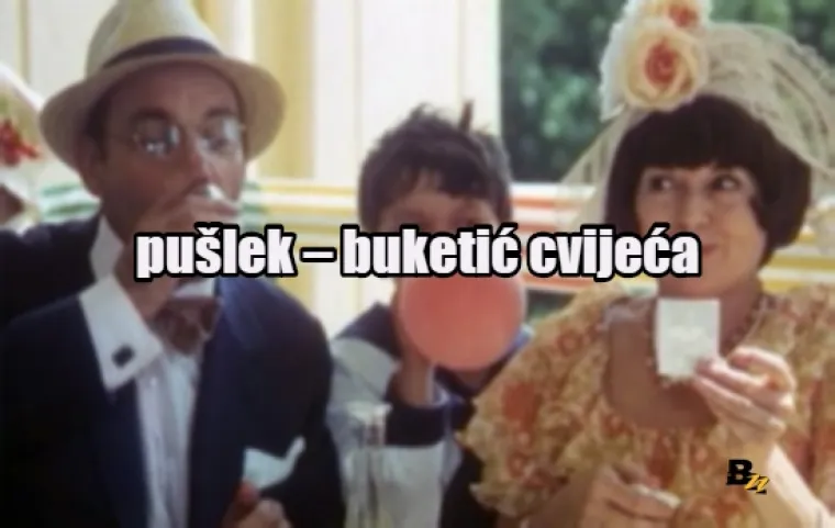 Pofuknjača, mi&scaron;čafl, pezdec: Enciklopedija purgerskog rječnika, svezak 3 (I-P)