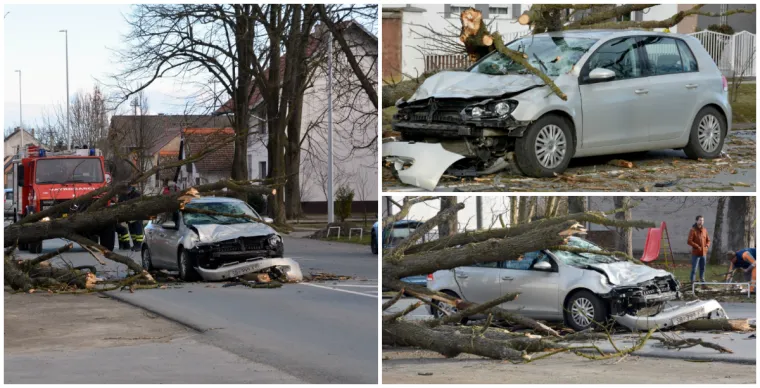 U mjestu Trnjani kod Slavonskog Broda do&scaron;lo je do te&scaron;ke prometne nezgode. Na vozilo u kretnji kolnikom palo je veliko stablo, a malo je reći kako je to kod vozačice osobnog automobila izazvalo veliki &scaron;ok, a i ozlijeđena je.