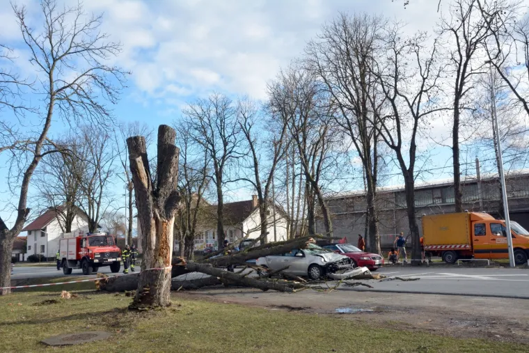 U mjestu Trnjani kod Slavonskog Broda do&scaron;lo je do te&scaron;ke prometne nezgode. Na vozilo u kretnji kolnikom palo je veliko stablo, a malo je reći kako je to kod vozačice osobnog automobila izazvalo veliki &scaron;ok, a i ozlijeđena je.