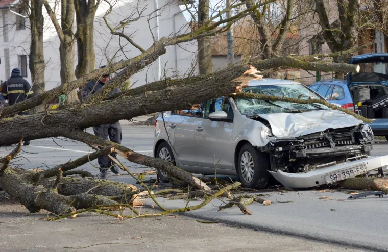 U mjestu Trnjani kod Slavonskog Broda do&scaron;lo je do te&scaron;ke prometne nezgode. Na vozilo u kretnji kolnikom palo je veliko stablo, a malo je reći kako je to kod vozačice osobnog automobila izazvalo veliki &scaron;ok, a i ozlijeđena je.