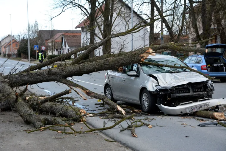 U mjestu Trnjani kod Slavonskog Broda do&scaron;lo je do te&scaron;ke prometne nezgode. Na vozilo u kretnji kolnikom palo je veliko stablo, a malo je reći kako je to kod vozačice osobnog automobila izazvalo veliki &scaron;ok, a i ozlijeđena je.