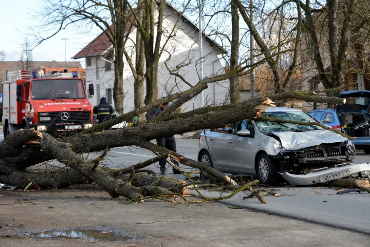 U mjestu Trnjani kod Slavonskog Broda do&scaron;lo je do te&scaron;ke prometne nezgode. Na vozilo u kretnji kolnikom palo je veliko stablo, a malo je reći kako je to kod vozačice osobnog automobila izazvalo veliki &scaron;ok, a i ozlijeđena je.