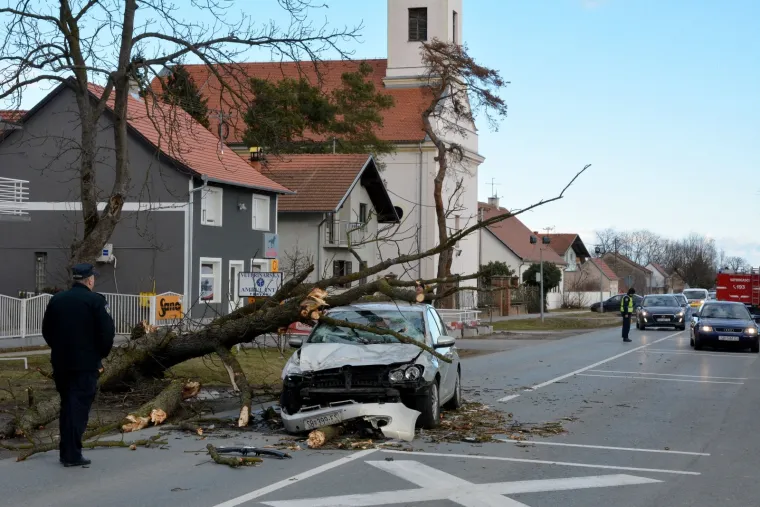 U mjestu Trnjani kod Slavonskog Broda do&scaron;lo je do te&scaron;ke prometne nezgode. Na vozilo u kretnji kolnikom palo je veliko stablo, a malo je reći kako je to kod vozačice osobnog automobila izazvalo veliki &scaron;ok, a i ozlijeđena je.