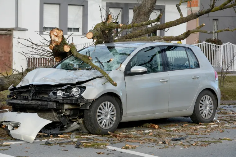 U mjestu Trnjani kod Slavonskog Broda do&scaron;lo je do te&scaron;ke prometne nezgode. Na vozilo u kretnji kolnikom palo je veliko stablo, a malo je reći kako je to kod vozačice osobnog automobila izazvalo veliki &scaron;ok, a i ozlijeđena je.