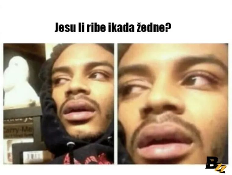 15 misli za razbijanje glave: 'Ako mi ne vidimo zrak, vide li ribe vodu?'