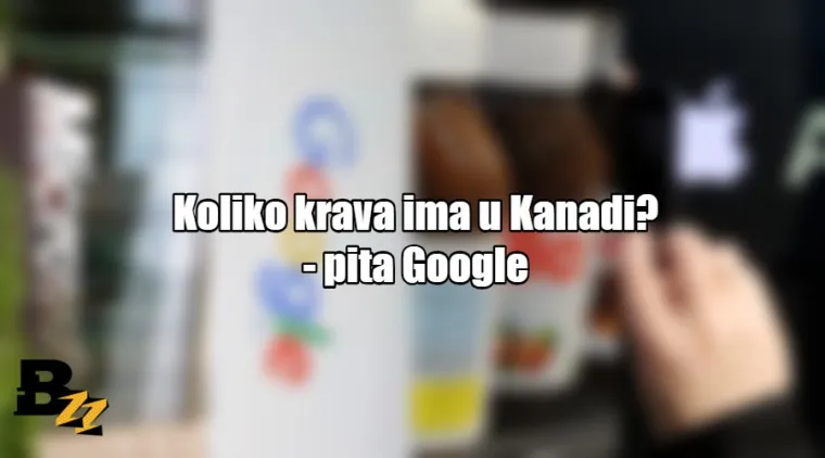 'Za&scaron;to je teniska loptica dlakava?': Biste li mogli odgovoriti na ovih 20 pitanja s razgovora za posao?