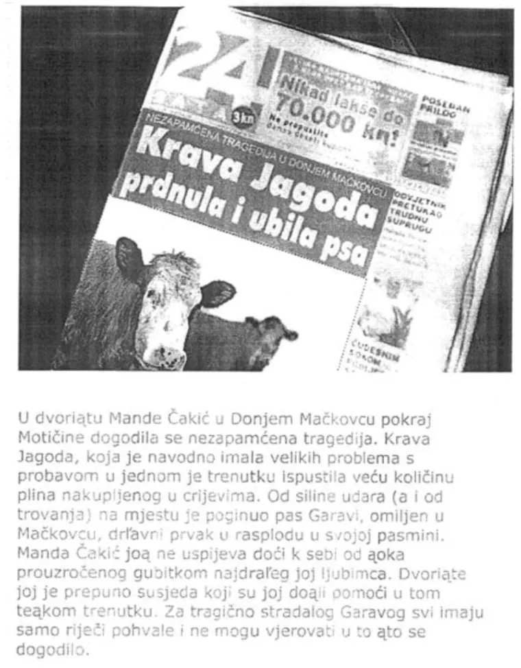 'Ovčar na sudu zbog silovanja kuje': 30 najluđih novinskih naslova svih vremena