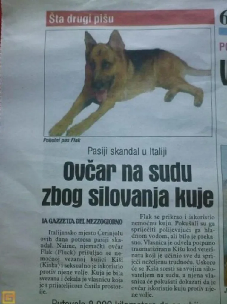 'Ovčar na sudu zbog silovanja kuje': 30 najluđih novinskih naslova svih vremena